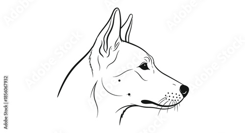 Elegant black and white line drawing of a dog's head in profile view with expressive facial details on a white background.