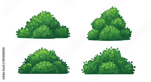 Four different green bush and shrub illustrations for garden and landscape design concepts on white background.