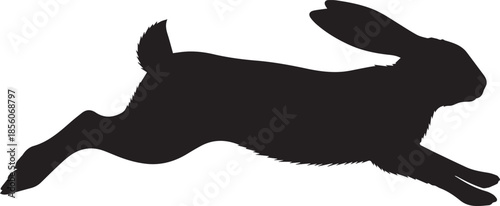 Leaping rabbit silhouette