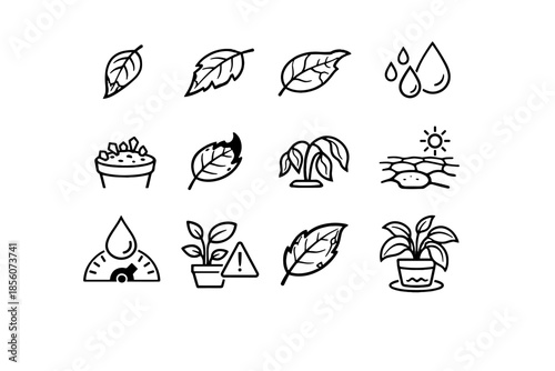 Edge moisture leaf edges health tip browning icon icons plant brown vector