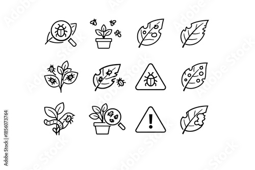 Vector health edges perforation bug insects plant activity leaf chewed icon pest