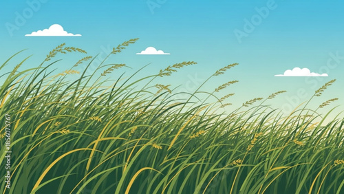 Tall grass swaying gently in the breeze against a serene blue sky with white clouds, vector illustration