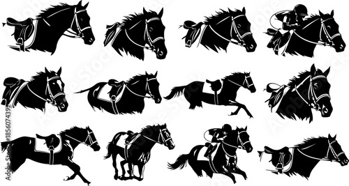 Professional Horse Racing and Equestrian Silhouette Action Set