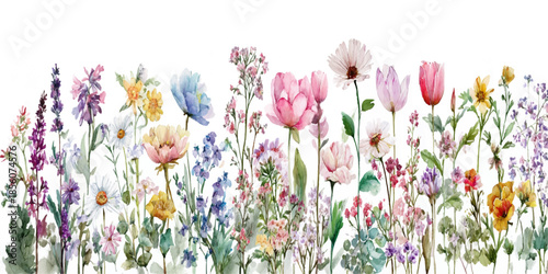 A detailed watercolor painting of a lush wildflower meadow featuring a variety of colorful flowers and greenery, set against a light background.