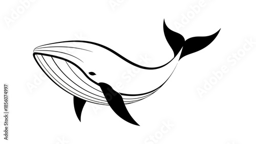 Minimalist whale illustration for eco friendly branding and educational materials