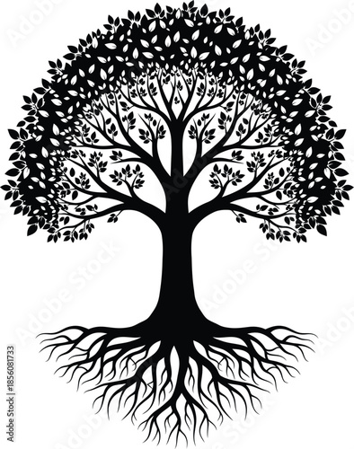 A tree with extensive root system and leafy canopy