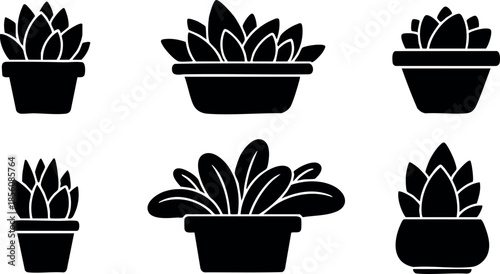 Succulent plants in pots vector illustration set with black silhouette style 