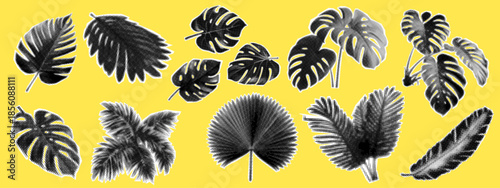 A set of vector halftone illustrations featuring tropical leaves and palm branches. Black and white graphic images, grouped and individually, are isolated on a yellow background.