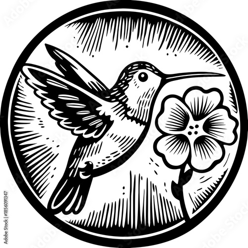 Hummingbird hovering near flower in vintage style illustration  