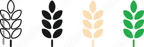 Wheat Isolated On Transparent Background Agriculture Farming Cereal Plant Food Vegetarian Healthy Ingredient Cooking Harvest Rye Barley Rice Grain Field