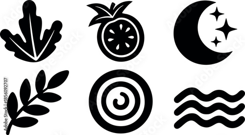 Nature and celestial themed black silhouette icons set vector illustration 