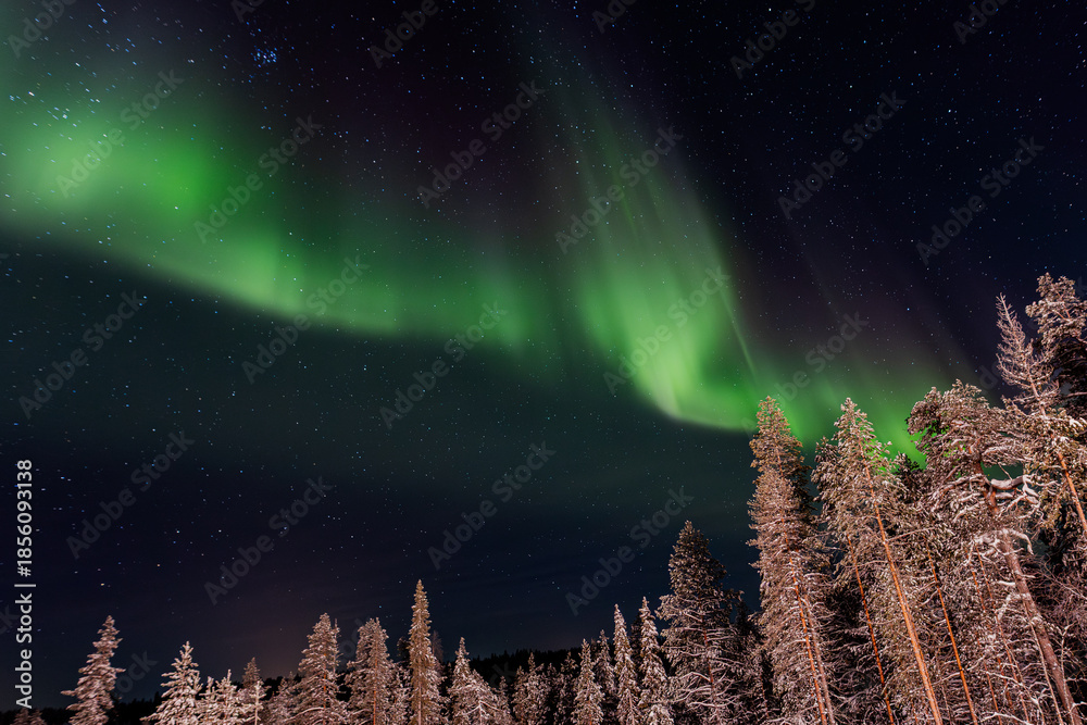 Fototapeta premium Polarlichter in Finnland