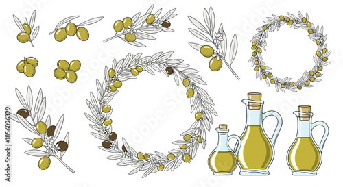 Collection of olive branch illustrations wreaths and glass bottles filled with golden olive oil for Mediterranean cooking.
