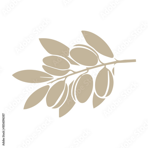 Olive Branch Graphic