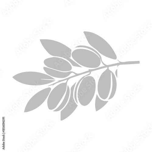 Olive Branch Silhouette
