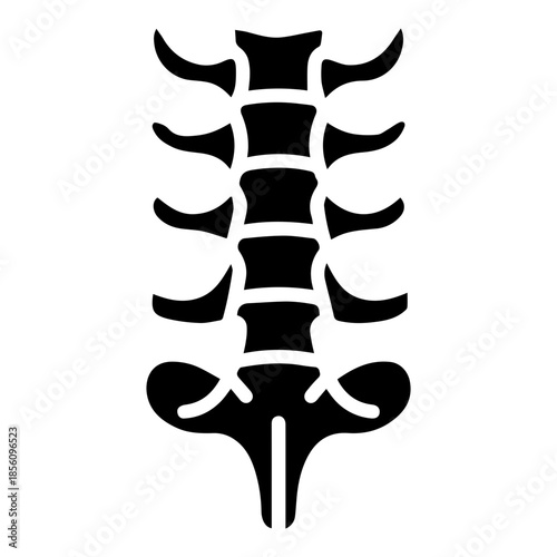 Human Spine Anatomy Icon