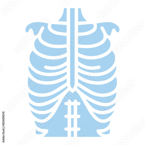 Human Rib Cage Anatomy Icon