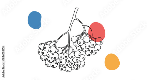 Hand-drawn branch of berries with abstract colorful spots on a white background, creating a modern botanical art piece.