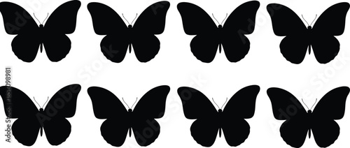 Eight black butterfly silhouettes on white background