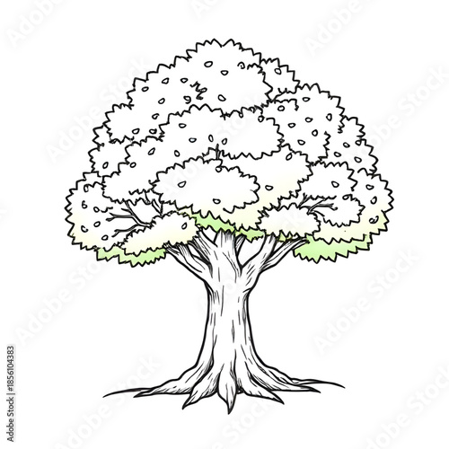 tree sketch vector style, ink sketch of a tree, fine liner tree drawing, pen and ink tree sketch art, line-art tree illustration, black ink tree outline, architectural landscaping tree sketch, minimal