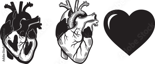 Anatomical heart in black and white showing detailed internal structures and a stylized heart shape representing life love and health concepts also transparent background