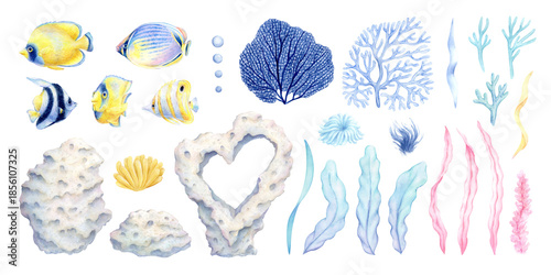 Photography Watercolor set of tropical fish, corals, seaweed, sponges, bubbles and shells