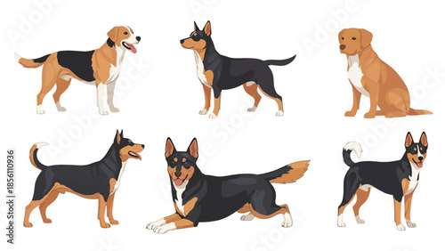 Modern vector illustration set of dogs in different poses on white background, flat pet collection with solid colors, ideal for pet icons and branding