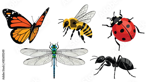 Modern vector illustration collection of insects butterfly, bee, ladybug, dragonfly, ant, in various poses on white background, flat bug set with solid colors, ideal for education and icons