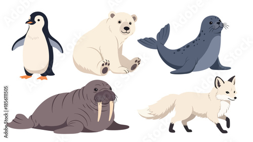 Modern vector illustration set of polar animals penguin, polar bear, seal, walrus, arctic fox, in various poses on white background, flat arctic wildlife collection with solid colors
