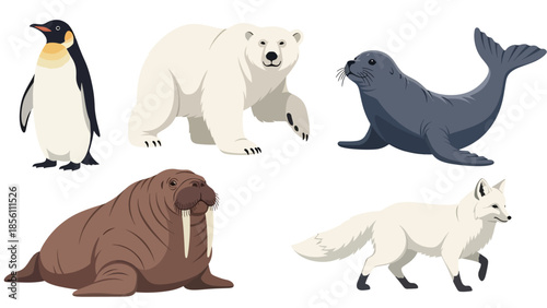 Modern vector illustration set of polar animals penguin, polar bear, seal, walrus, arctic fox, in various poses on white background, flat arctic wildlife collection with solid colors