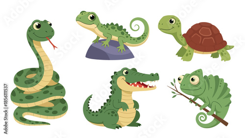 Modern vector illustration collection of reptiles snake, lizard, turtle, crocodile, chameleon, in different poses on white background, flat reptile set with solid colors, ideal for education
