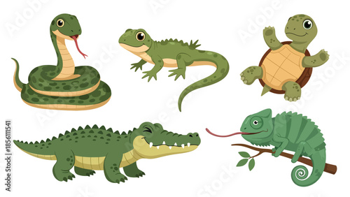 Modern vector illustration collection of reptiles snake, lizard, turtle, crocodile, chameleon, in different poses on white background, flat reptile set with solid colors, ideal for education