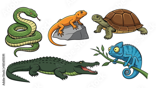 Modern vector illustration collection of reptiles snake, lizard, turtle, crocodile, chameleon, in different poses on white background, flat reptile set with solid colors, ideal for education
