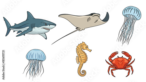 Modern vector illustration collection of aquatic animals shark, ray, jellyfish, seahorse, crab, in floating poses on white background, flat marine life set with solid colors