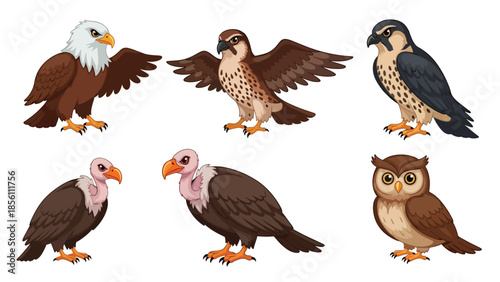 Modern vector illustration collection of birds of prey eagle, hawk, falcon, owl, venture, in flying and perching poses on white background, flat wildlife set with solid colors