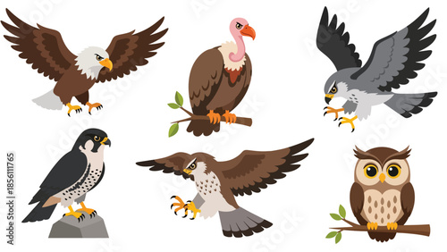 Modern vector illustration collection of birds of prey eagle, hawk, falcon, owl, venture, in flying and perching poses on white background, flat wildlife set with solid colors