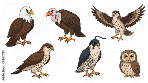 Modern vector illustration collection of birds of prey eagle, hawk, falcon, owl, venture, in flying and perching poses on white background, flat wildlife set with solid colors