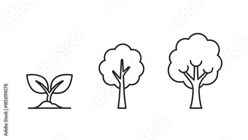Simple Line Drawings of Trees at Different Stages.