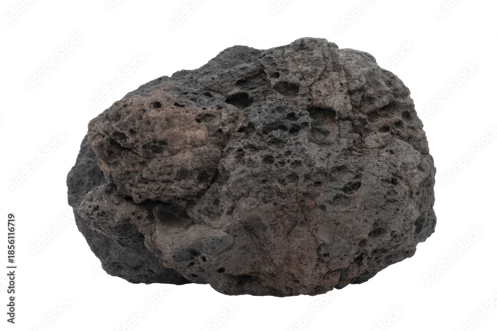 Fototapeta premium Porous Volcanic Rock on Transparent Background