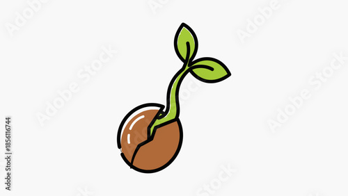 Sprouting Seedling Emerging from Seed.
