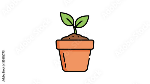 Small Green Plant in Orange Pot.