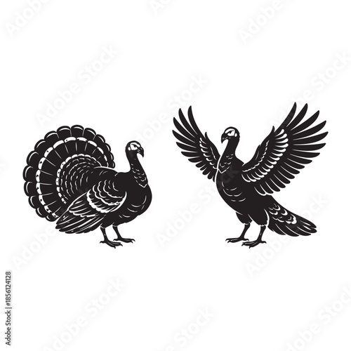Black silhouette of two turkeys one with fanned tail one with wings spread bird black and white