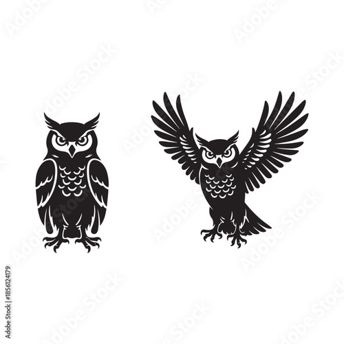 Black silhouette owls one standing one with wings spread white bird