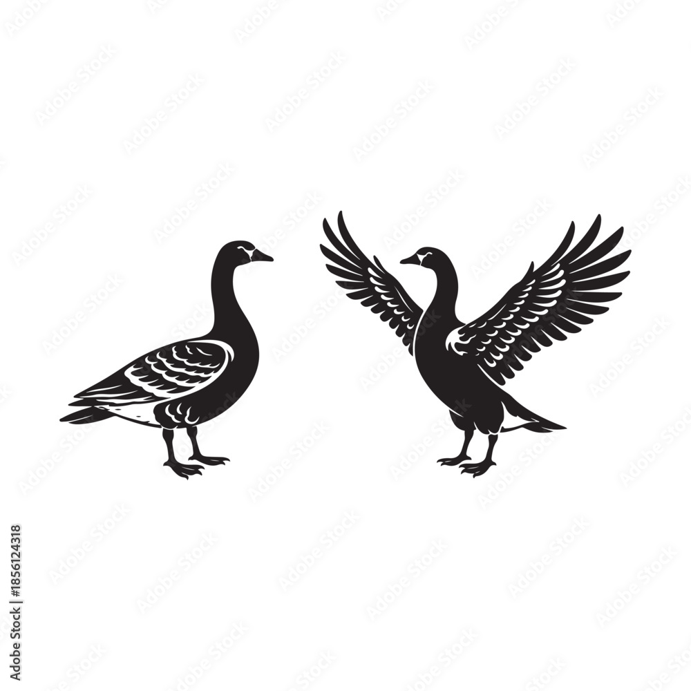 Fototapeta premium Two black geese silhouettes one standing one with wings spread goose bird