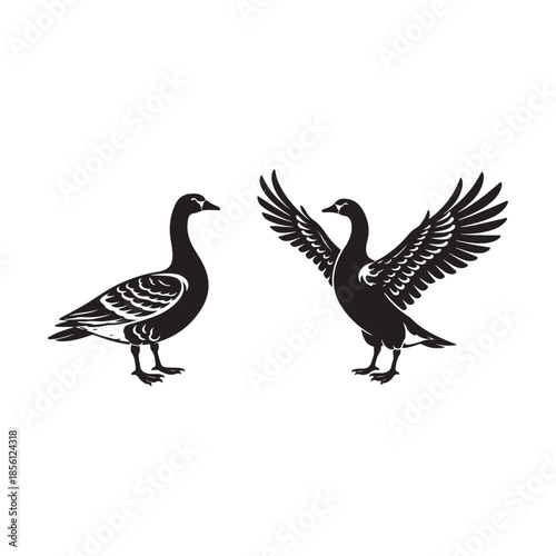 Two black geese silhouettes one standing one with wings spread goose bird