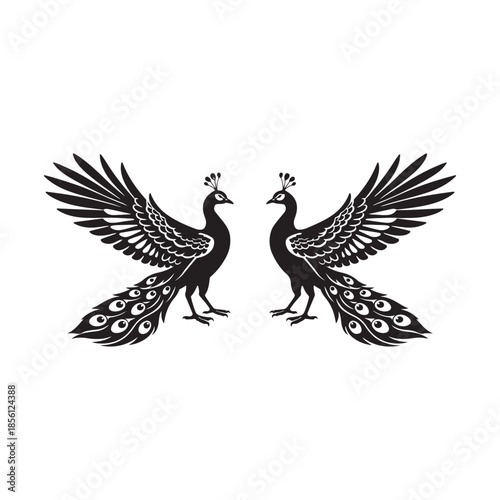 Two black peacocks facing each other with spread wings and tails bird animal