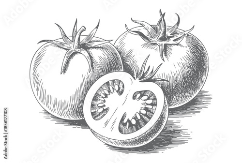 Vintage botanical tomato cluster illustrated in classic engraved linework.