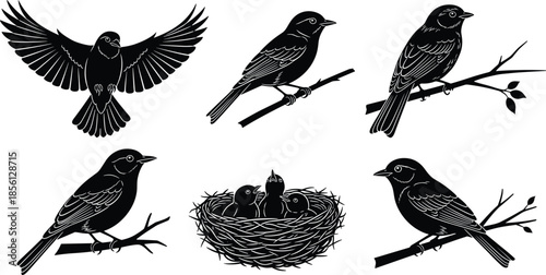 Bird silhouette collection, flying and perched birds, nest with chicks, wildlife nature illustration, black vector design, isolated white background