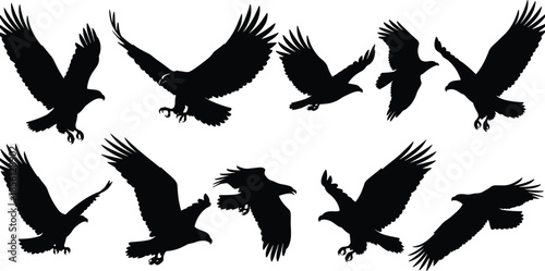 Flying eagle silhouette collection, birds of prey in motion, black wildlife vector set, isolated nature illustration