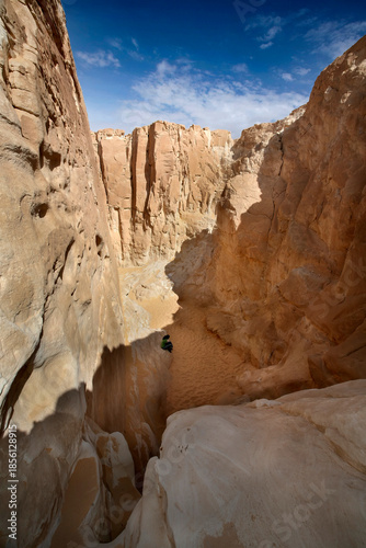 Narrow passage in White Canyon, Wadi Qunai, Sinai Peninsula, Egypt. Sunlit sandstone walls shaped by wind erosion in an arid desert landscape.